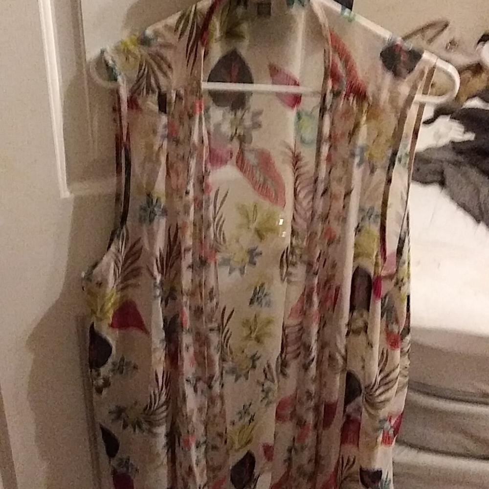 Sheer vest - Picture 2 of 3